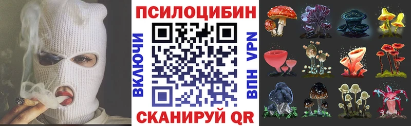 Псилоцибиновые грибы Psilocybe  Купить где  Северск 